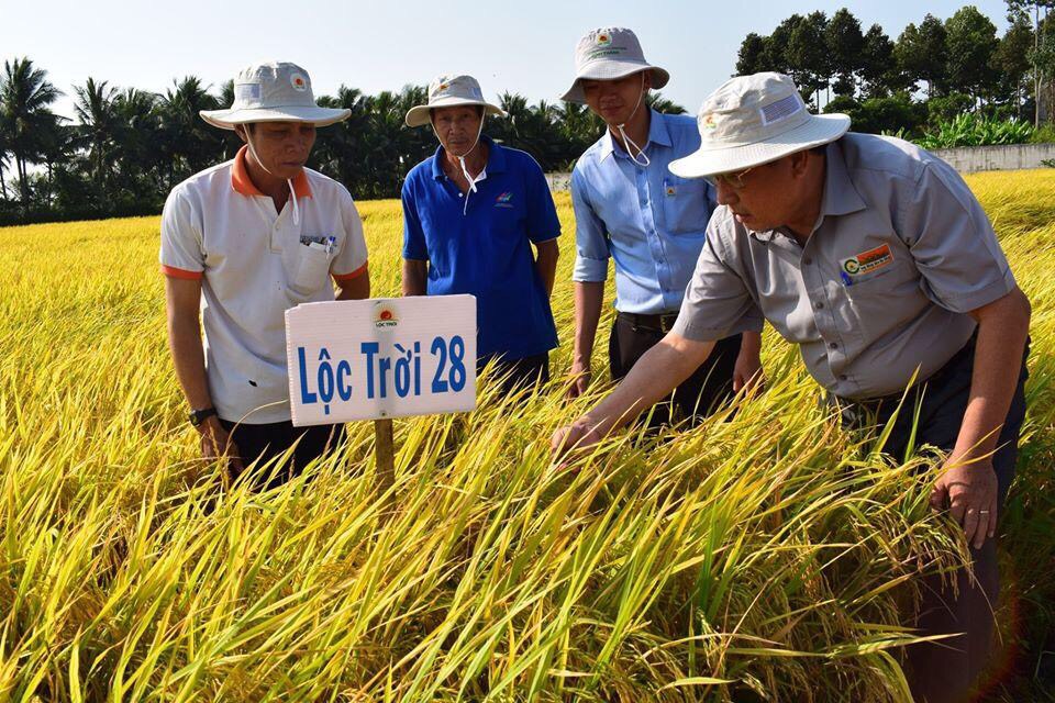 Gạo Hạt Ngọc Trời Thiên Vương 5kg