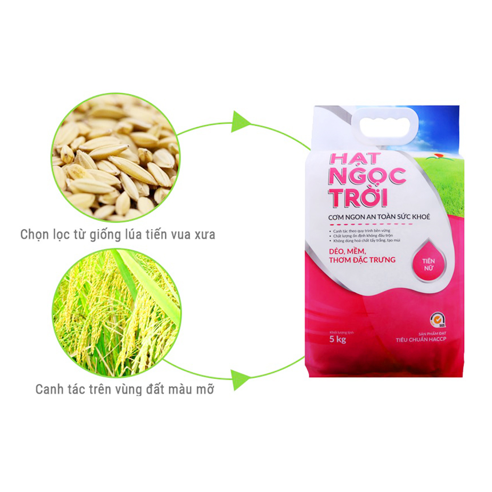 CÔNG TY TNHH SẢN XUẤT THƯƠNG MẠI DỊCH VỤ XUẤT NHẬP KHẨU TÂM THÀNH PHÁT