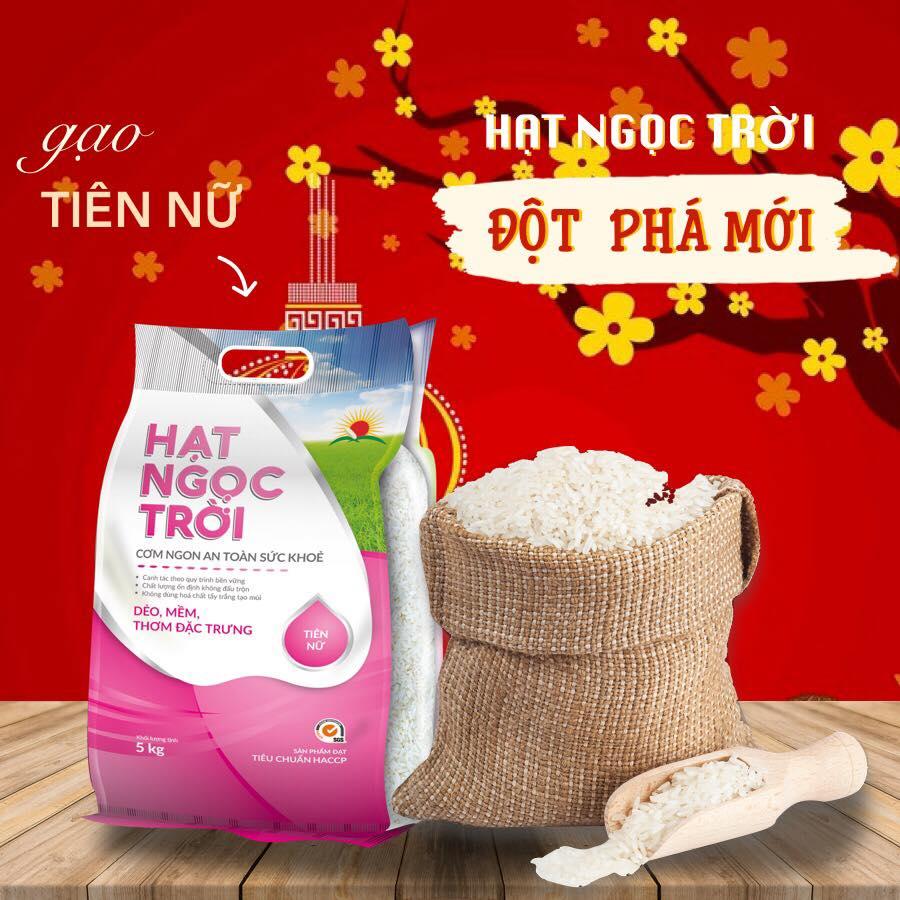 CÔNG TY TNHH SẢN XUẤT THƯƠNG MẠI DỊCH VỤ XUẤT NHẬP KHẨU TÂM THÀNH PHÁT